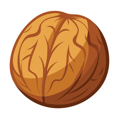 illustration of a walnut
