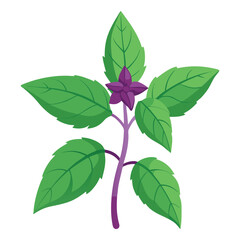 lilac branch isolated on white background