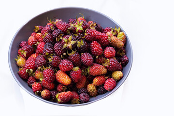 Fresh Ripe Blackberries Close Up with Natural Texture