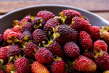 Fresh Ripe Blackberries Close Up with Natural Texture