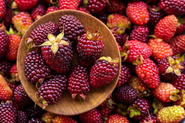Fresh Ripe Blackberries Close Up with Natural Texture