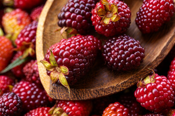 Fresh Ripe Blackberries Close Up with Natural Texture