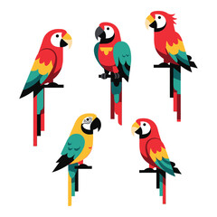 Colorful tropical macaw parrots perched on branches exotic bird collection