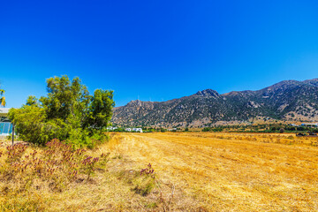 Dry yellow field with green tree on background of rocky mountains and clear blue summer sky. Greece. Kos.