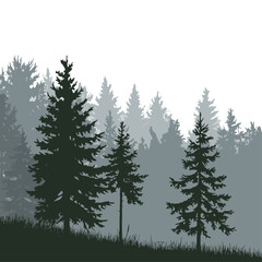 Fototapeta premium Vector tree silhouettes, sunset forest wilderness tree, olive black tree silhouette logo or icon isolated on white background