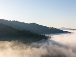 Sunrise over rolling green hills with low lying fog creating a dreamy and peaceful landscape view
