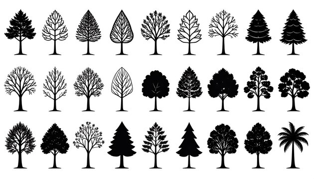 Simple black and white tree silhouettes