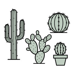 Desert plants collection various cactus species isolated graphics for design and decoration