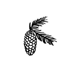 Pine branch hand drawn illustration. Cone vector sketch