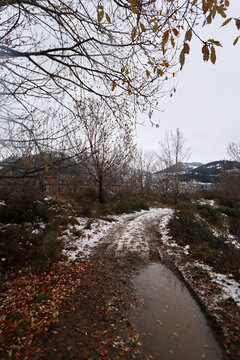 Camino embarrado con charcos y nieve entre &aacute;rboles desnudos, frente a colinas nevadas bajo cielo gris.