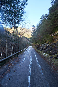 Carretera entre pinos y rocas, con firme h&uacute;medo, ascendiendo hacia laderas iluminadas por el sol.