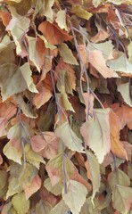 Realistic Artificial Autumn Leaves, Dried Look