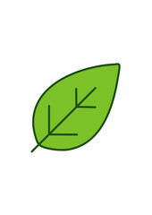Green Leaf Icon Set – Botanical, Nature and Eco Friendly Vector Illustrations