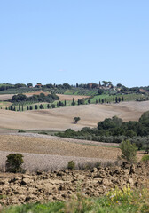 Fototapeta premium The rural landscape near Pienza in Tuscany. Italy