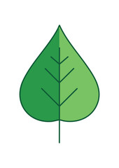 Green Leaf Icon Set – Botanical, Nature and Eco Friendly Vector Illustrations