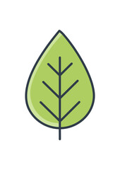 Green Leaf Icon Set – Botanical, Nature and Eco Friendly Vector Illustrations