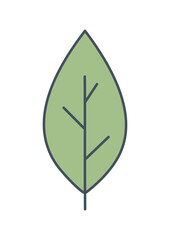 Green Leaf Icon Set – Botanical, Nature and Eco Friendly Vector Illustrations