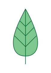 Green Leaf Icon Set – Botanical, Nature and Eco Friendly Vector Illustrations
