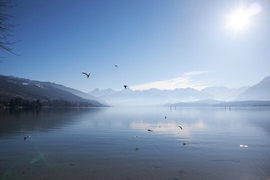 Lago sereno con monta&ntilde;as nevadas, reflejo brillante del sol y aves sobrevolando el agua en una escena tranquila.