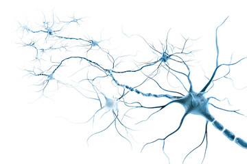 Blue Neural Network isolated on white transparent background