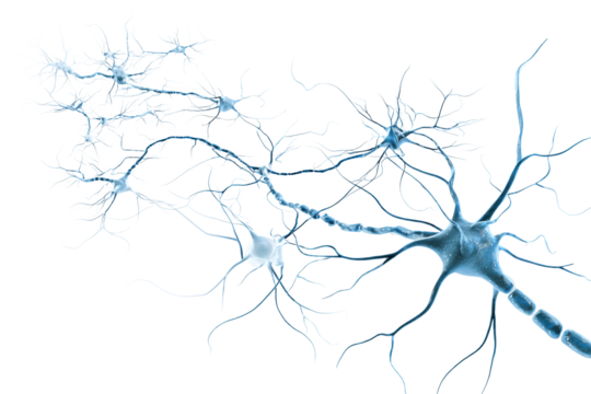 Blue Neural Network isolated on white transparent background