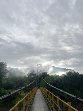 Fog Bridge
