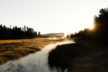 Yellowstone Landscape