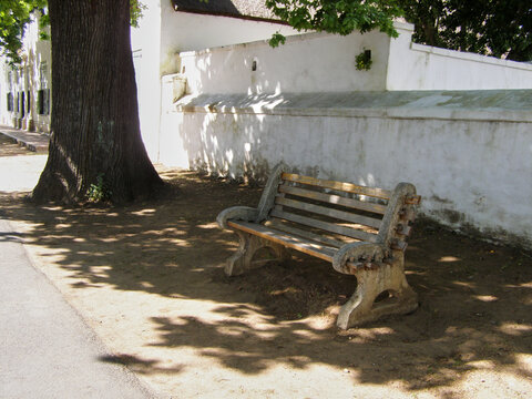 Banco de madera con soportes ornamentales sobre tierra, bajo un gran &aacute;rbol junto a un muro encalado que proyecta sombras suaves en un rinc&oacute;n tranquilo.
