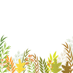 Vintage floral background, botanical web background with grass and different flowers - Vector illustration