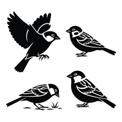 Four silhouette sparrows birds poses flying perching foraging simple artistic graphics
