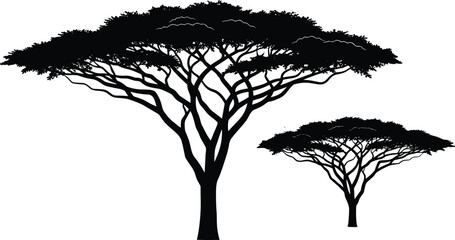 Acacia tree silhouettes with wide canopies, black design, savanna landscape illustration, nature symbol, growth concept, botanical artwork