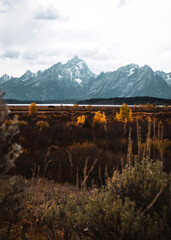 Fall tetons