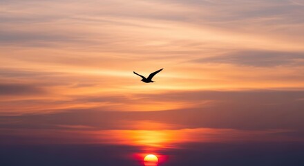 Soaring bird silhouette against a vibrant sunset sky