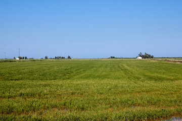Fototapeta premium Campo agrícola extenso con cielo despejado y edificaciones rurales en el horizonte