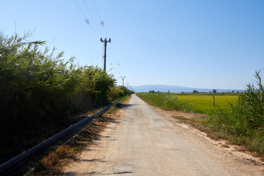 Donde la tierra se alinea con el horizonte: escena rural entre infraestructura, cultivo y cielo azul
