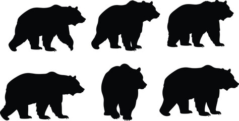 Black bear silhouettes standing and walking in different poses isolated on white background, wild forest animal vector illustration, predator artwork design