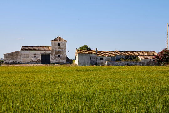 Conjunto de casas rurales con tejados de teja en campo verde bajo cielo despejado