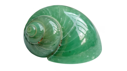 A polished green gemstone carved into the shape of a snail shell isolated on transparent background
