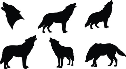 Black wolf silhouettes howling and standing in different poses isolated on white background, wildlife predator vector illustration, forest animal artwork design