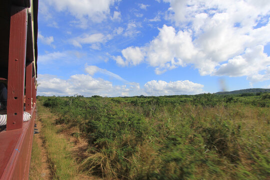 Fotograf&iacute;a tomada desde el lateral de un tren en movimiento, mostrando parte del vag&oacute;n rojo y una amplia vista de vegetaci&oacute;n verde bajo un cielo azul con nubes dispersas. La imagen transmite una sensa