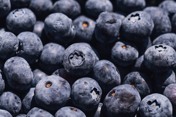 blueberries in a bowl