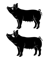 Vector art of two pigs standing, showcasing their domesticity and agricultural significance
