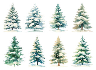 Fototapeta premium PNG Snowy evergreen trees winter illustration, element set on transparent background