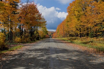 Chemin canadien avec les couleurs de l'automne