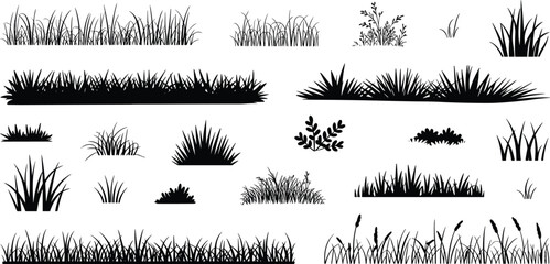Grass silhouettes, botanical elements, nature icons, plants, foliage, landscaping vector, vegetation, garden design, outdoor, black silhouettes, wild grass, garden icons, lawn