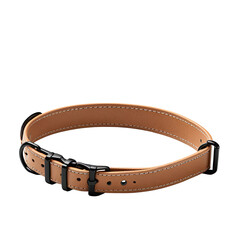 Tan leather dog collar, studio shot, black buckle, e-commerce