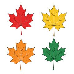 Autumn maple leaves collection four colors red yellow orange green seasonal foliage