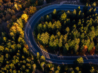 Aerial view of a road with autumn leaves changing