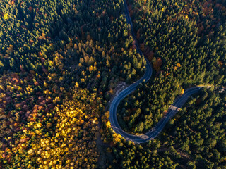 Aerial view of a road with autumn leaves changing