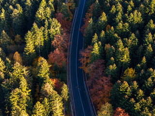 Aerial view of a road with autumn leaves changing